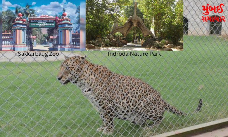 Gujarat Zoo
