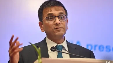 Chief Justice of India DY Chandrachud declining to hear an interim plea on the deaths of captive elephants in Kerala