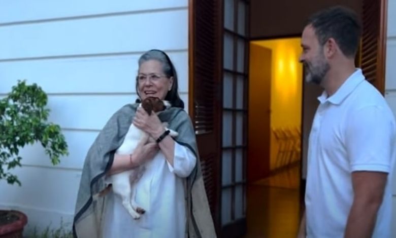 Rahul Gandhi With Noori