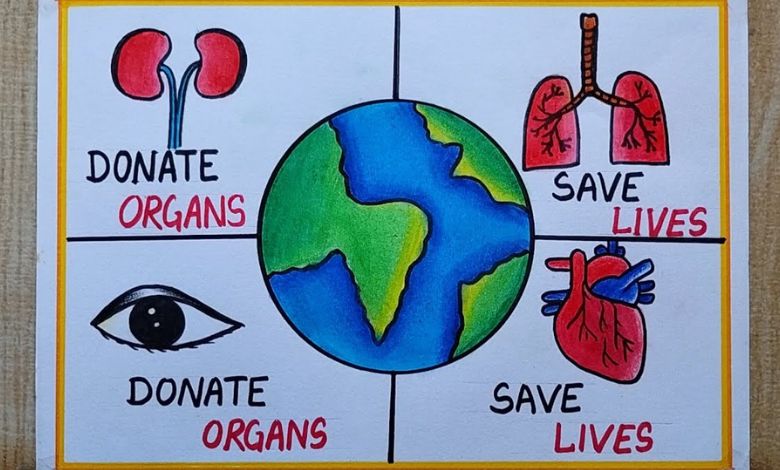 Organ Donation