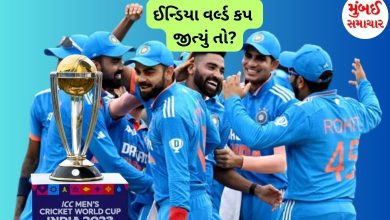 If Team India wins the World Cup….