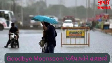 Goodbye Moonsoon from Gujarat