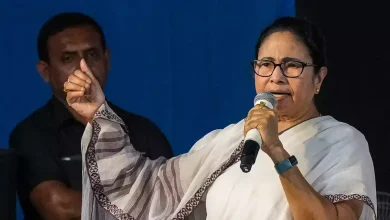 "Mamata Banerjee addressing supporters"