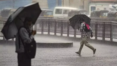 Monsoon in winter! Rain forecast in many parts of the country including Maharashtra