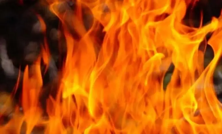 Owner and worker killed in fire in Ahmedabad's Nikol