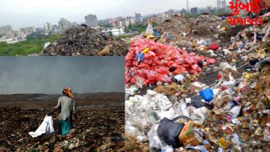 No Dumping: A major decision was taken to divert Mumbai's medical waste
