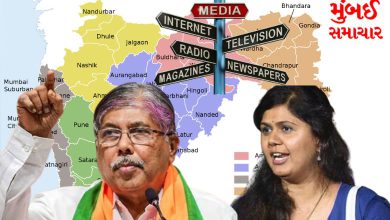 Media responsible for Pankaja Munde's loss: Chandrakant Patil