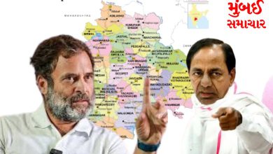 Rahul gave a jaw-dropping answer to KCR's question about