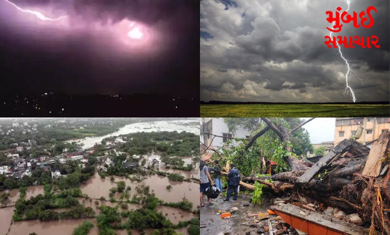 Unseasonal rain claimed 14 lives in Gujarat