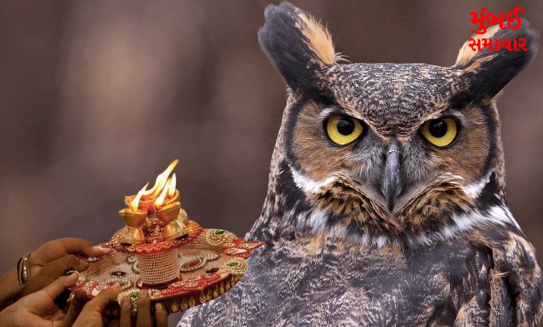 Owl worship in India before Diwali and connection with Hamas