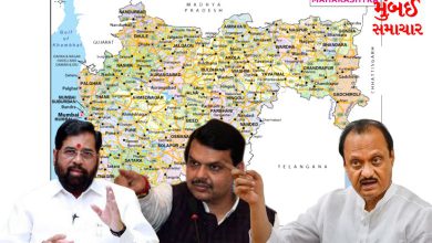 Before the Lok Sabha elections, the danger in 'Mahayuti'? Tension over seat sharing issue