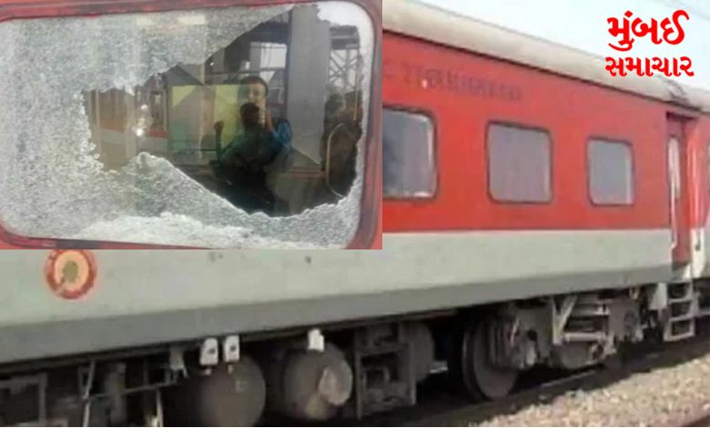 rajdhani stone pelted