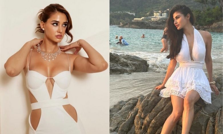 Look at the bikini queens' beach brawl, set the internet on fire