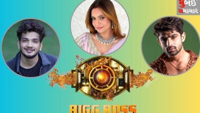 Who among these 3 will be the winner of Bigg Boss 17?