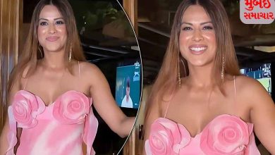 Naagin' fame Nia sets fire in pink dress