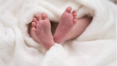 Establishment of committee on neonatal deaths in the state ​