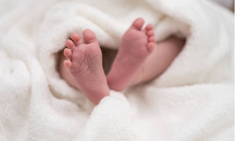 Establishment of committee on neonatal deaths in the state ​
