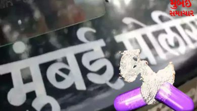 Drug makers caught for Thirtyfirst's parties: Mephedrone worth six crores seized