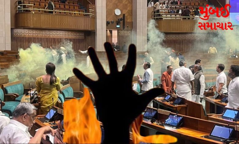 After the attack on Parliament, Manoranjan and Sagar were to commit self-immolation.. Plan