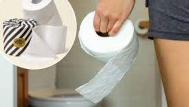Toilet a break-up story: Toilet paper became the cause of break-ups in Florida
