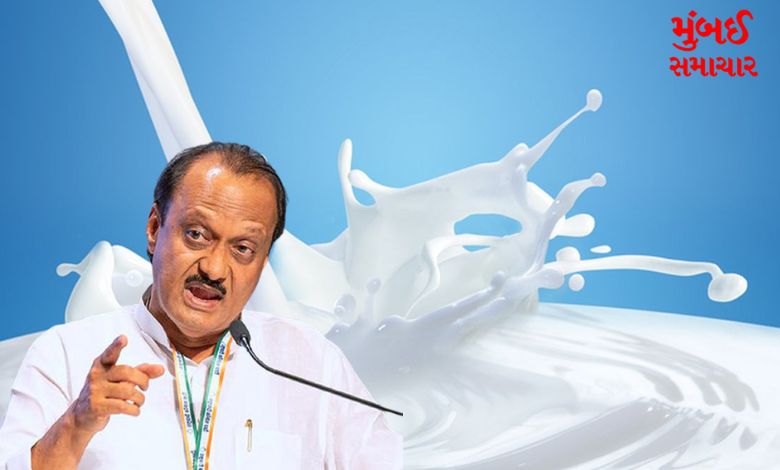 Ajit Pawar gave a big statement regarding milk adulteration