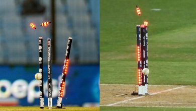 Entry of new stumps in the world of cricket, know the feature