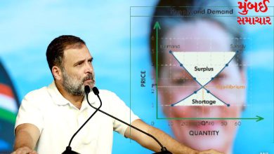 Rahul Gandhi outlined such an economic model for the country
