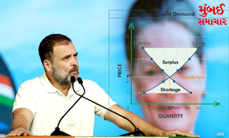 Rahul Gandhi outlined such an economic model for the country