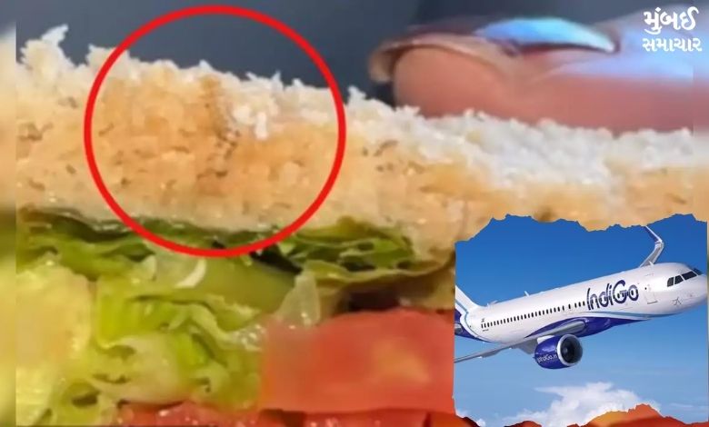 Passenger found worm in sandwich on flight