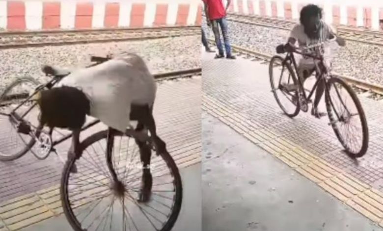 Cyclist Stunts on Railway Platform