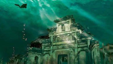Underwater City of Krishna Revealed! India's Bold Plan for Sunken Dwarka Unveiled