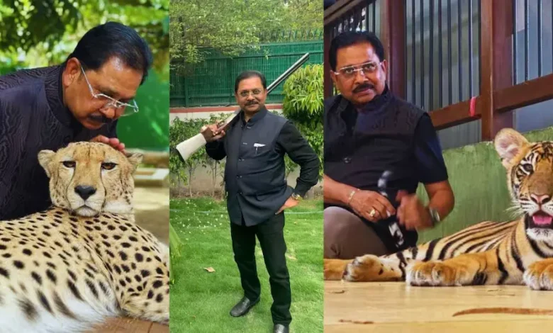 A collage of images showing Dheeraj Shahu posing with 351 crore cash, holding a gun, and standing with a lion and cheetah.