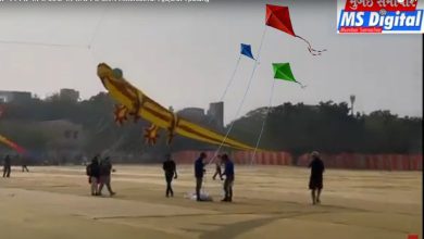 kites will fly in the sky of Rajkot, the start of Kite Festival...