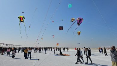 The buzz of kite festival in the blue sky of the white desert of Dhordo will be the theme of this time's overview