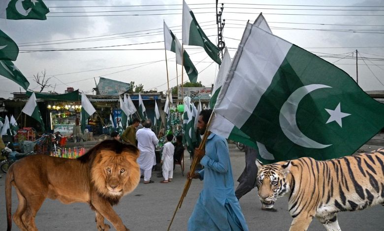 this happens in Pakistan, the supporter reached the election rally with a lion and a tiger and..