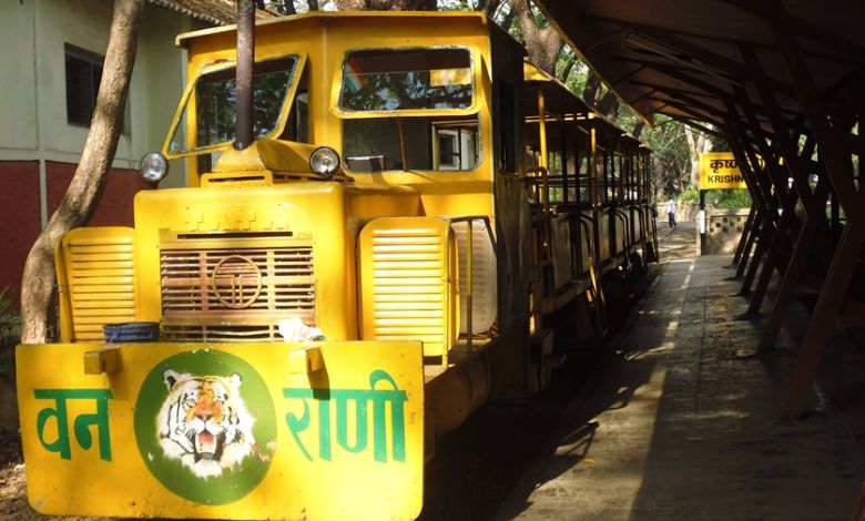 By the end of this year, you will be able to ride this train in the National Park