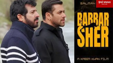 Salman will become 'Babbar Sher' after Tiger? Kabir-Salman duo can make a bang in June