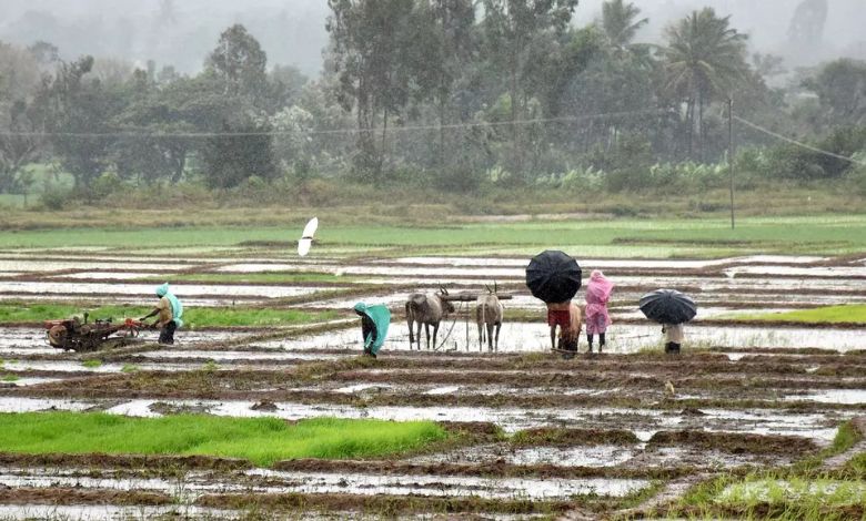 Risk of unseasonal rain again in the state!