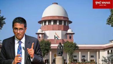 The Chief Justice made an important comment on the Ayodhya case decision