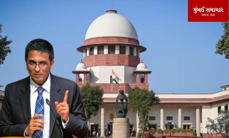 The Chief Justice made an important comment on the Ayodhya case decision