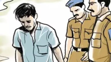 A cook who stole a watch worth 27 lakhs from a dealer in Gamdevi was caught