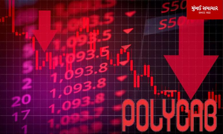 Why did the polycab hit the lower circuit with a big crash?