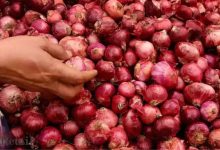 Onion price control, relief to housewives