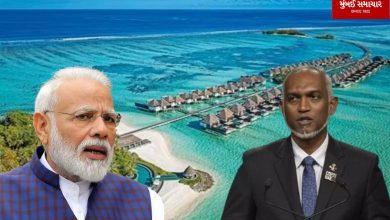 No one has a license to bully us: Maldives President Muizzoo