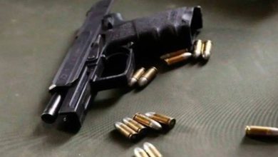 Eight guns, fifteen cartridges seized: Two arrested