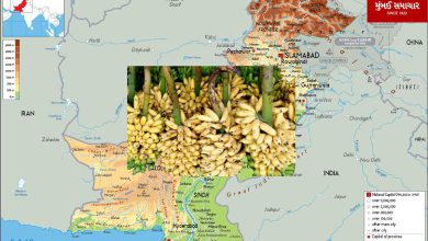 What is the price of a dozen bananas in Pakistan? Cheaper or more expensive than India?