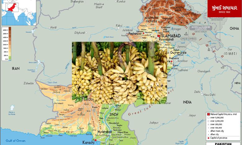 What is the price of a dozen bananas in Pakistan? Cheaper or more expensive than India?