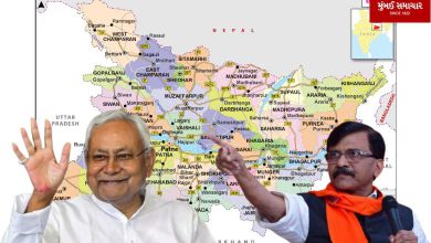 Nitish Kumar going to NDA won't make any difference to India alliance: Sanjay Raut