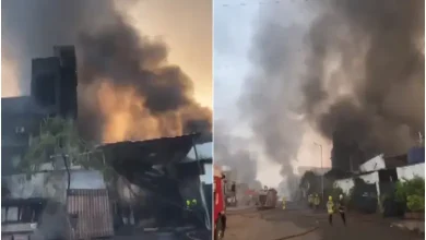 Massive Blaze Erupts At Chemical Factory In Navi Mumbai; Horrific Visuals Surface