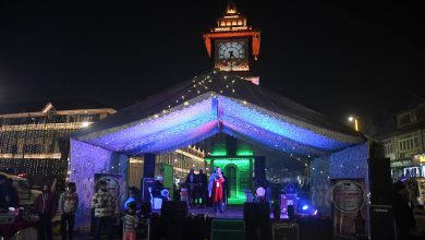 Srinagar New Year Celebration and Goa